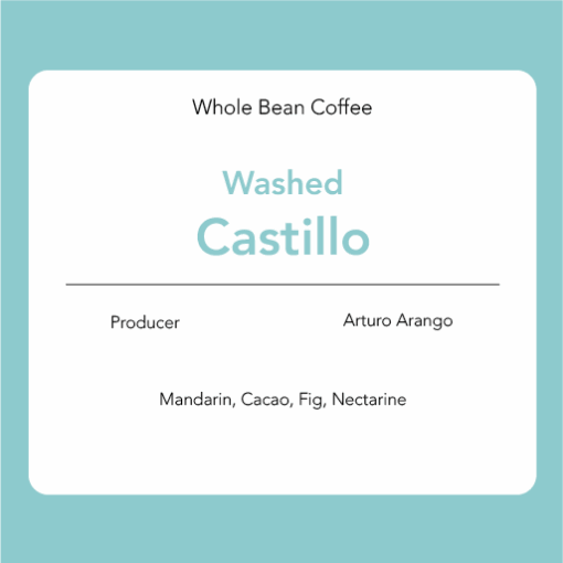 Castillo - Washed: Andrés Quintaro