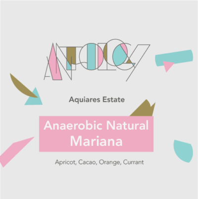 Mariana: Anaerobic Natural - Aquiares Estate