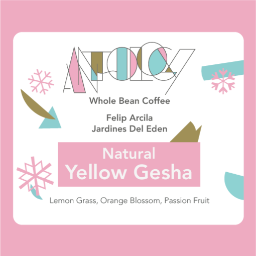 Yellow Gesha - Natural: Felipe Arcila  226g