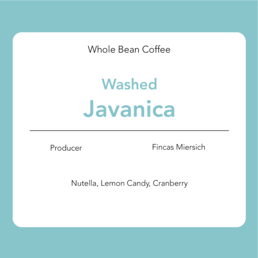 Javanica - Washed : Fincas Miersich