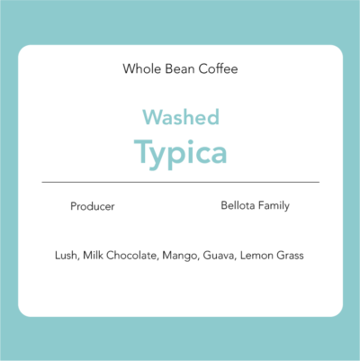 Typica - Washed : Bellota Family
