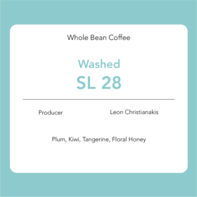 SL28: Washed - Leon Christianakis