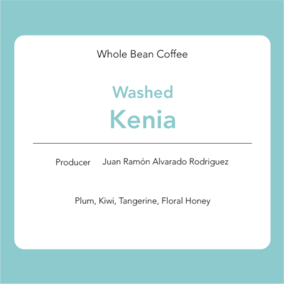 Kenia: Washed - Juan Ramón Alvarado Rodríguez