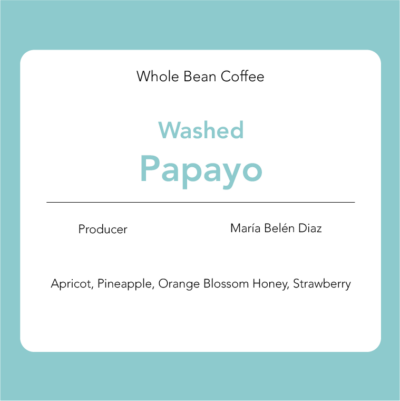 Papayo: Washed - María Belén Diaz