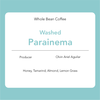 Parainema - Washed: Olvin Ariel Aguilar